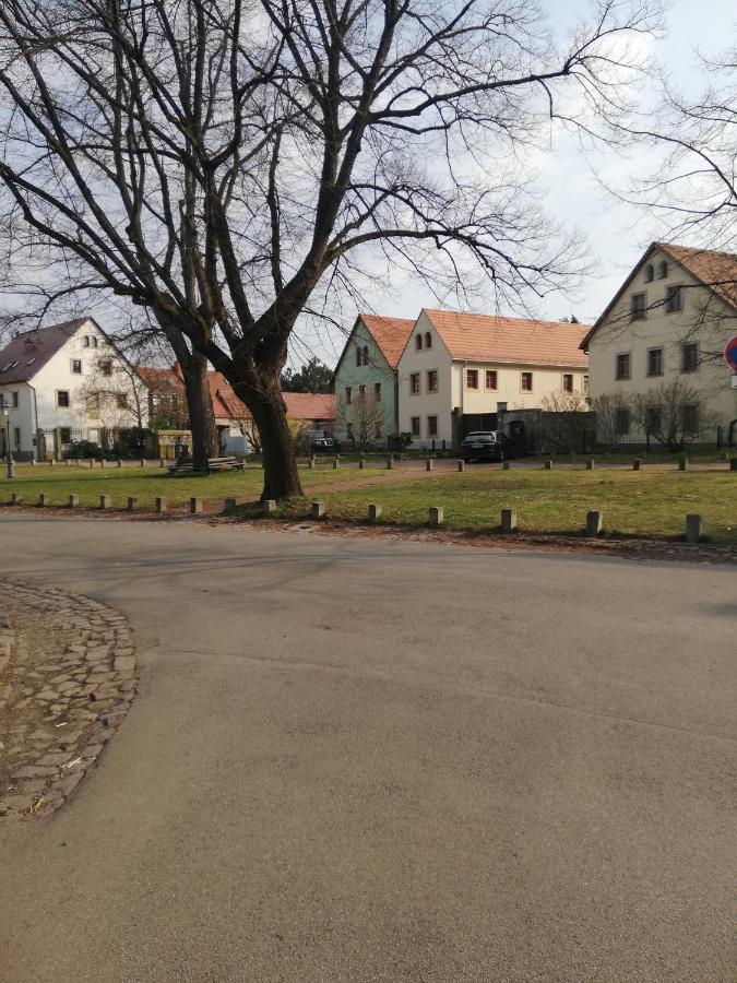 Ferienhaus -Am Alten Dorfplatz- Дрезден Екстериор снимка